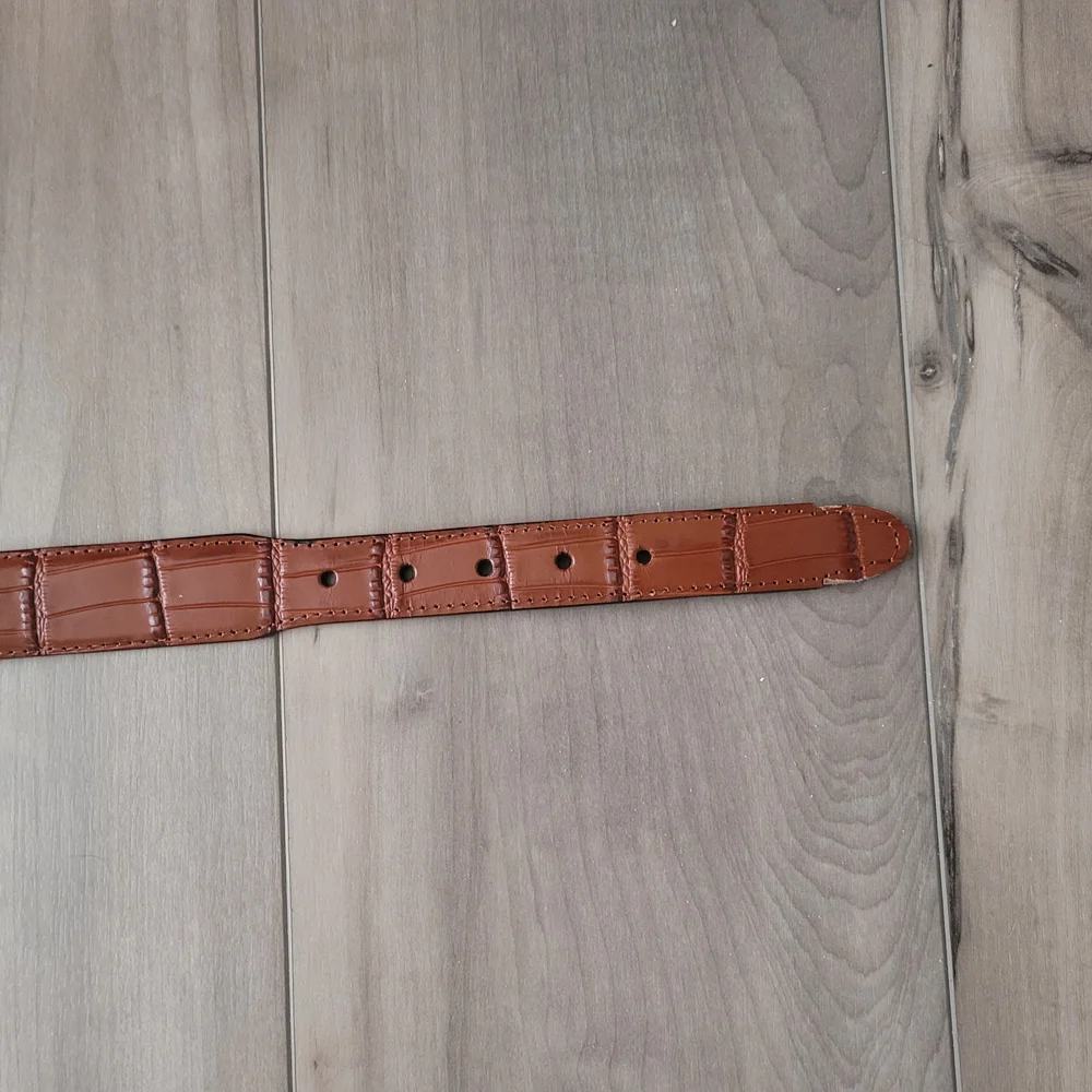 Zep-Pro Leather Belt with Florida Gators Silver Accents